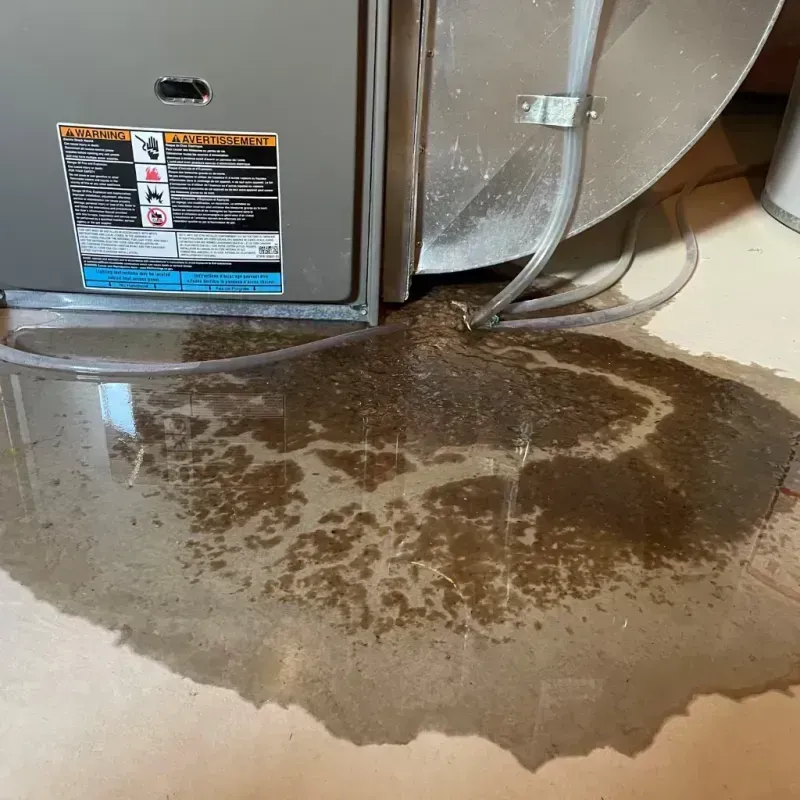 Appliance Leak Cleanup in Mercer County, NJ